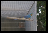 Pafos Zoo -30-05-2017 - Bogdan Balaban